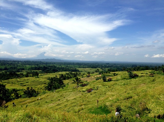 Trip to Jatiluwih Rice Fields 07