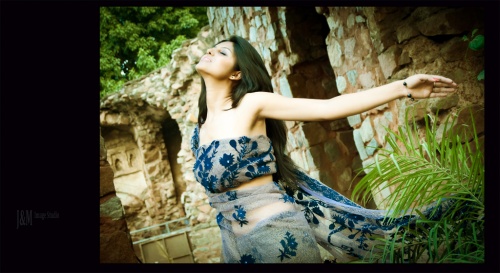 Saree, designer Manish Tripathi, model Surbhi